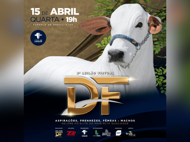 8° Leilão Virtual DF