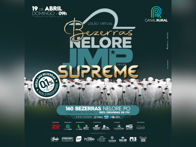 Leilão Virtual Bezerras Nelore JMP – Edição Supreme