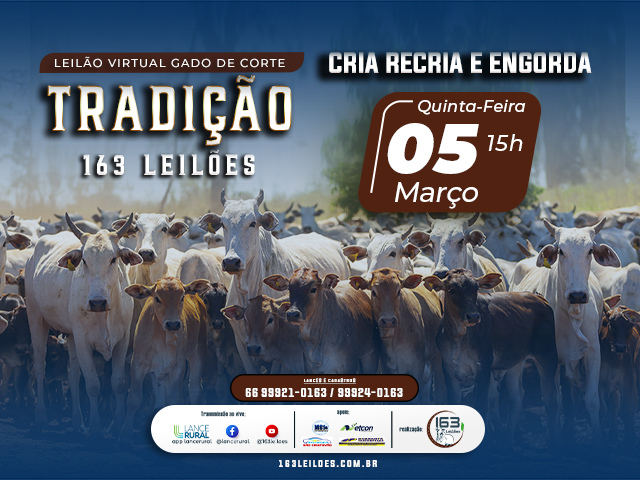 Leilão Virtual Gado de Corte Tradição