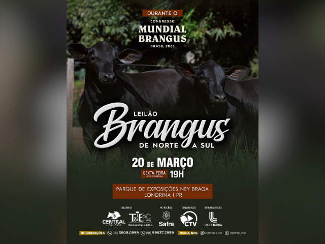 Leilão Brangus de Norte a Sul