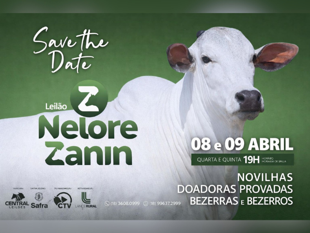 Leilão Nelore Zanin