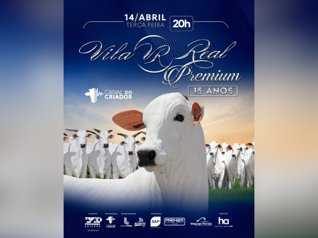 Leilão Vila Real Premium 15 Anos