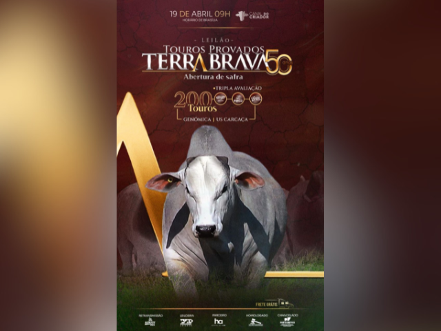Leilão Touros Provados Terra Brava 50 Anos