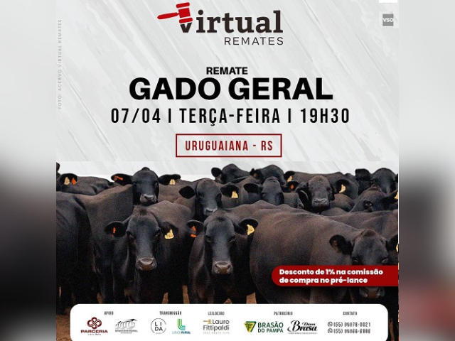 Remate Gado Geral