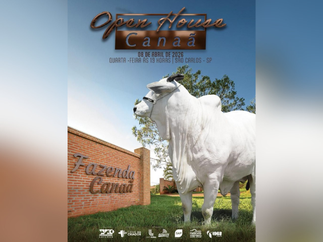 Leilão Open House Canaã