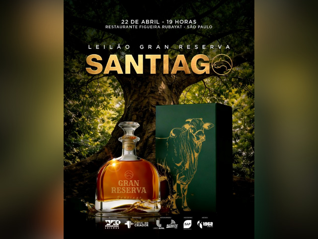 Leilão Gran Reserva Santiago