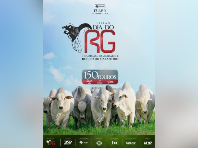 Leilão Dia do RG – Etapa Touros
