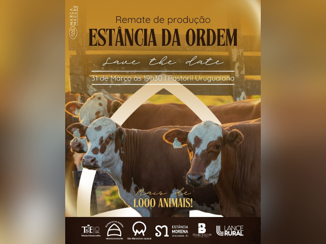 Remate de Produção Estância da Ordem