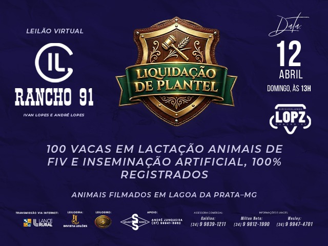 Leilão Virtual Agropecuária Rancho 91