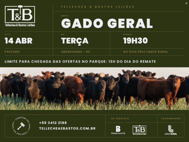 Remate Gado Geral TB