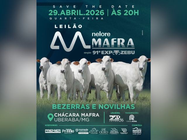 Leilão Nelore Mafra – Edição 91º Expozebu