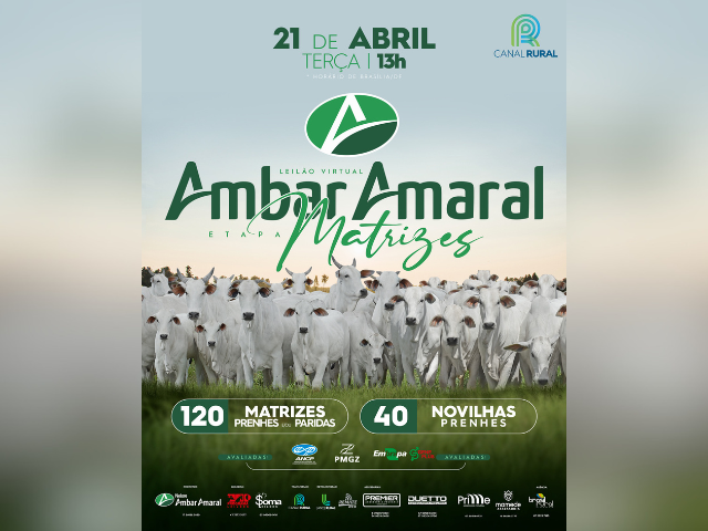 Leilão Virtual Ambar Amaral – Etapa Matrizes