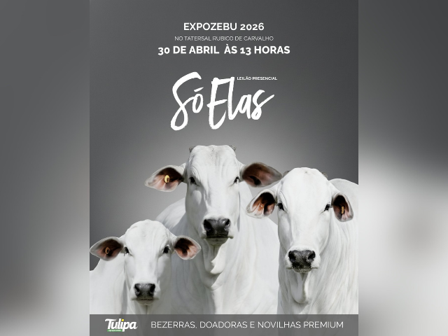 Leilão Presencial Só Elas – Tulipa Agropecuária Expozebu 2026