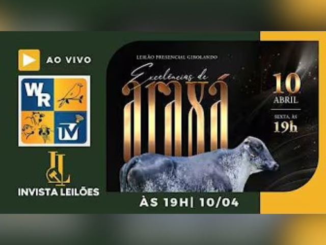 Leilão Presencial Girolando Excelências de Araxá