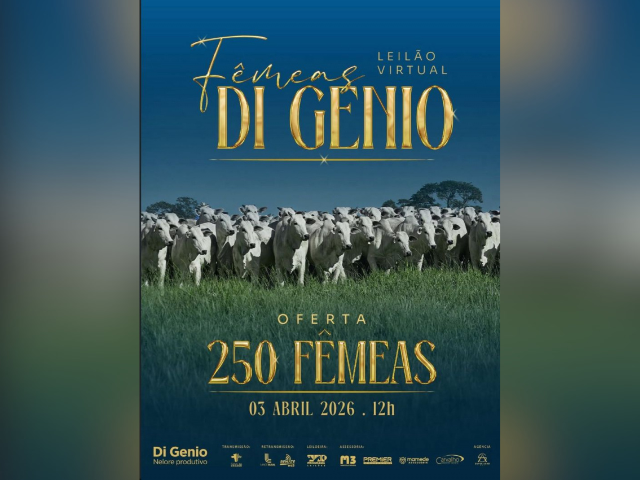 Leilão Virtual Fêmeas Di Gênio