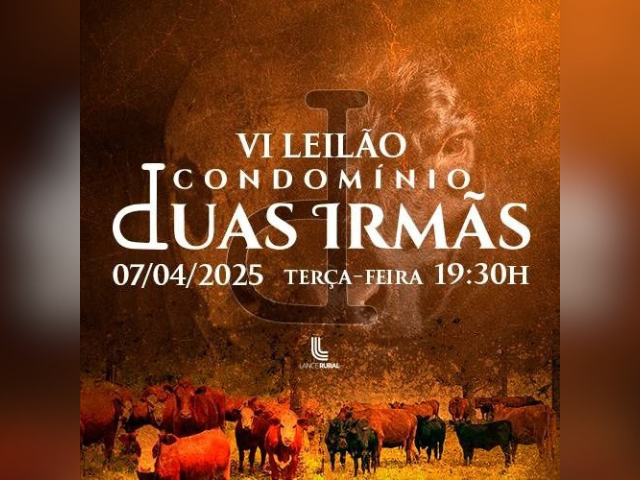 VI Leilão Condomínio Duas Irmãs