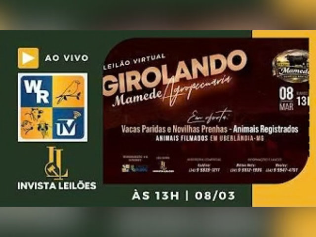 Leilão Virtual Girolando Mamed Agropecuária