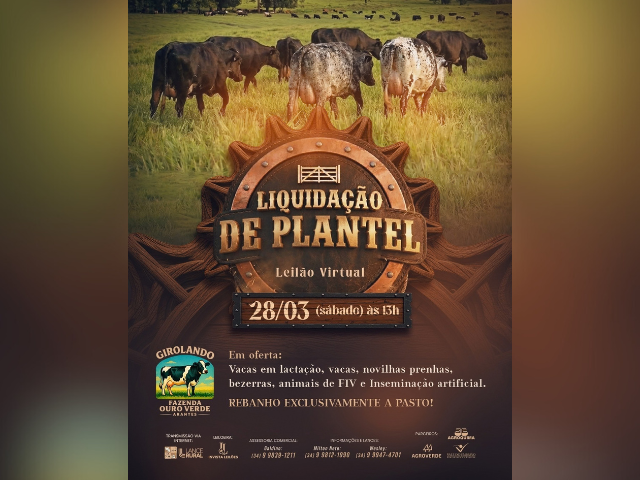 Leilão Virtual Liquidação de Plantel Fazenda Ouro Verde Arantes