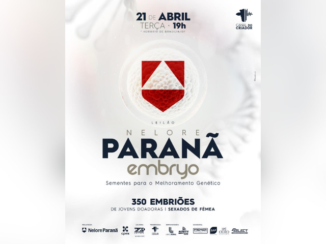 Leilão Nelore Paranã Embryo