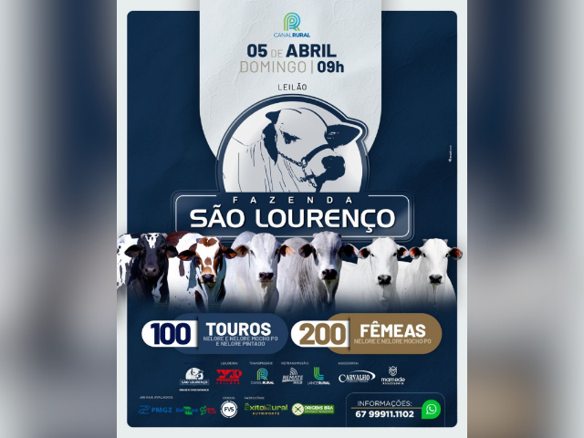 Leilão Fazenda São Lourenço