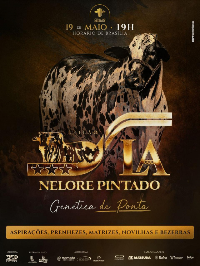 Leilão Nelore Pintado L.A.