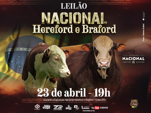 Leilão Seleção Hereford e Braford
