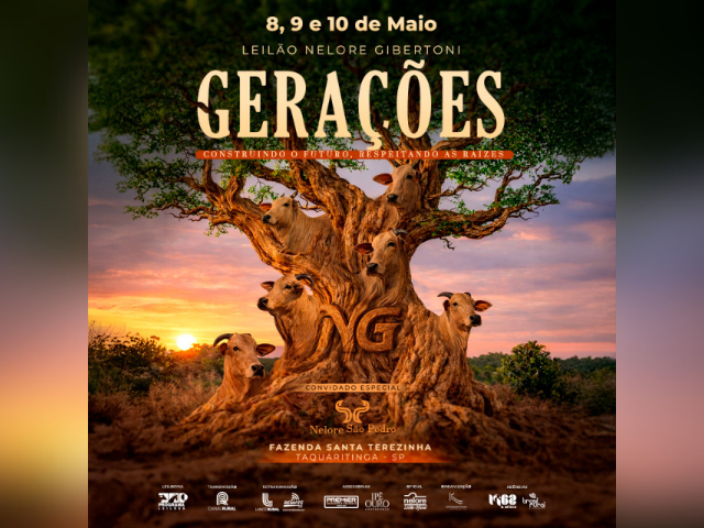 Leilão Nelore Gibertoni Gerações – Evoluzione