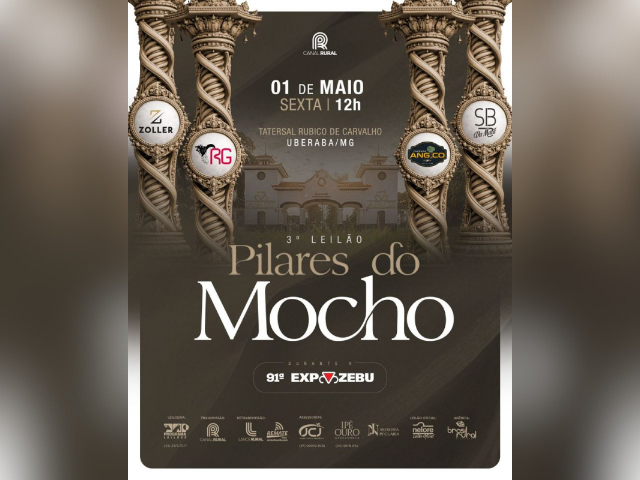 3° Leilão Pilares do Mocho