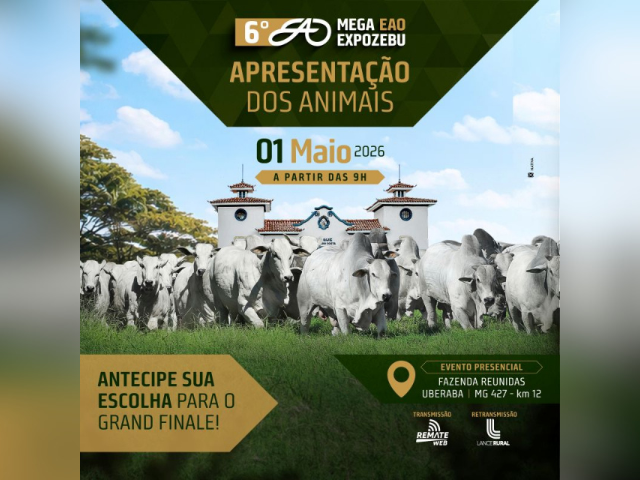 LIVE de apresentação dos animais – 6º A Mega EAO Expozebu 2026