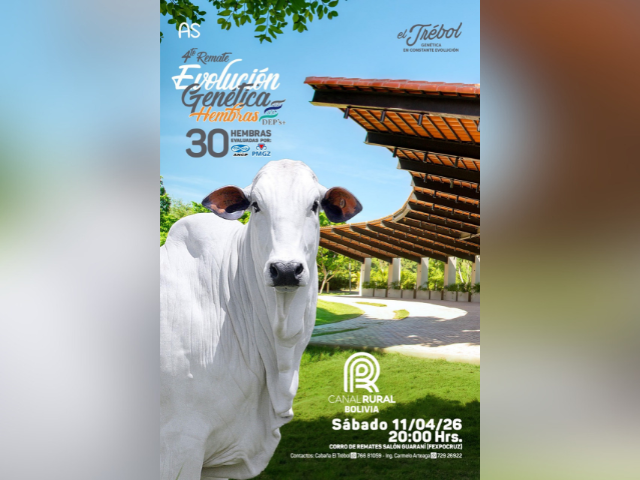 4° Remate Evolución Genética Hembras