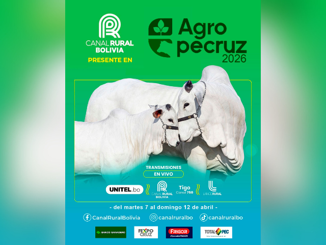 Juzgamiento de Razas Cebuinas Agropecruz 2026