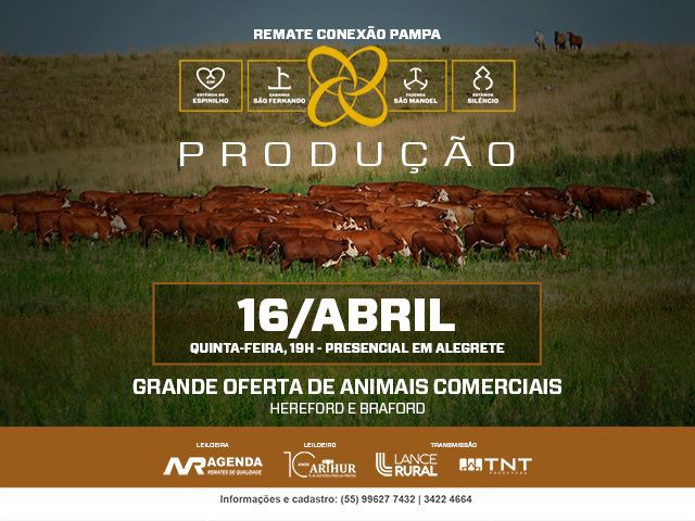 Remate Conexão Pampa – Produção