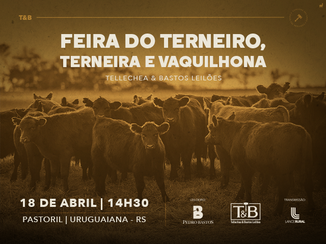 Feira do Terneiro, Terneira e Vaquilhona