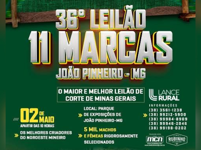 36º Leilão 11 Marcas