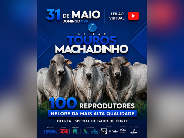 Leilão Touros Machadinho