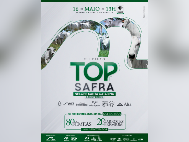 2° Leilão Top Safra Nelore Santa Catarina & Convidados