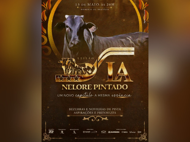 Leilão Nelore Pintado L.A.