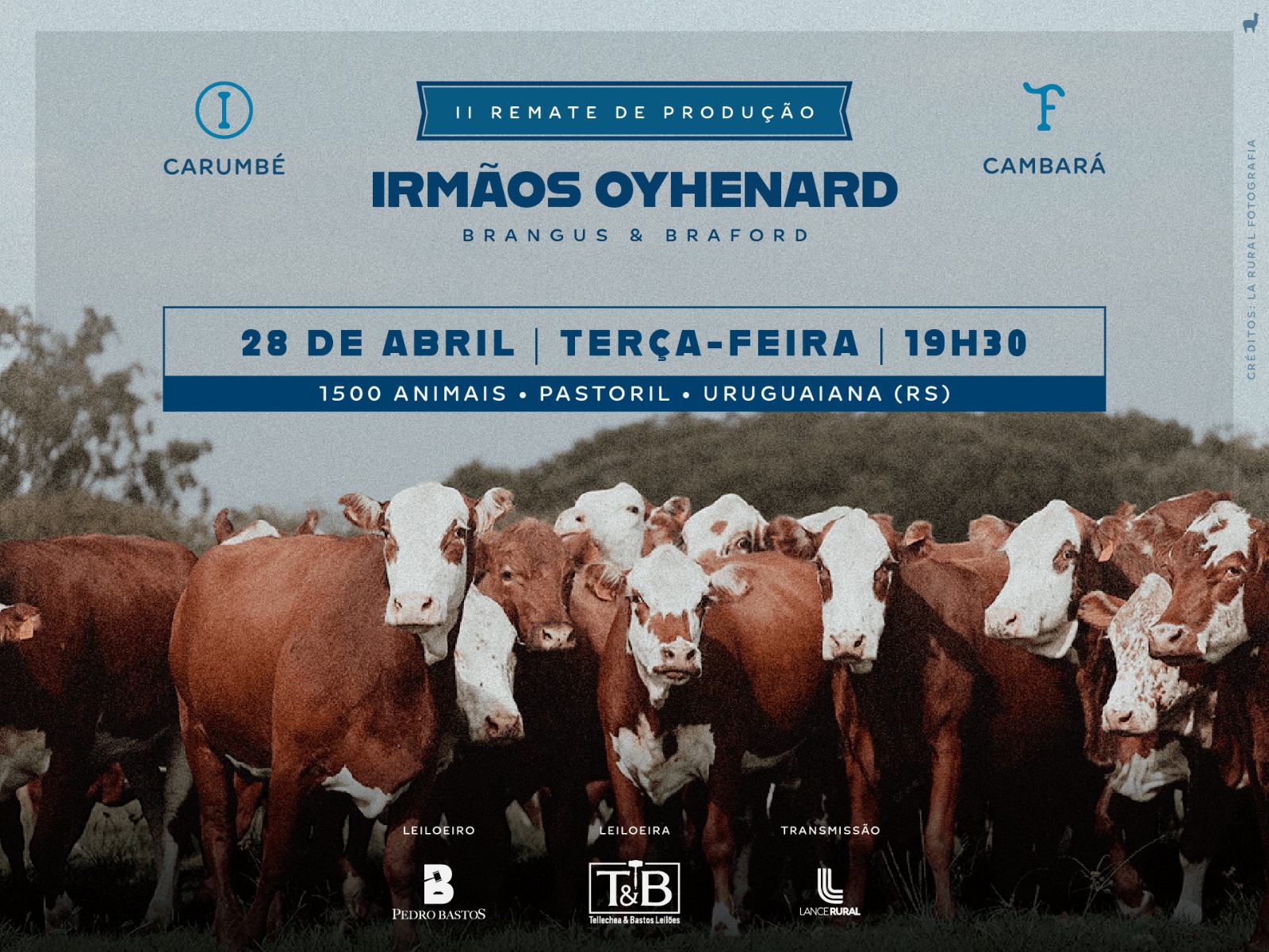 Remate de Produção Irmãos Oyhenard