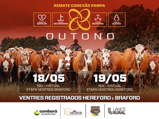 Conexão Pampa Outono – Etapa Ventres Braford
