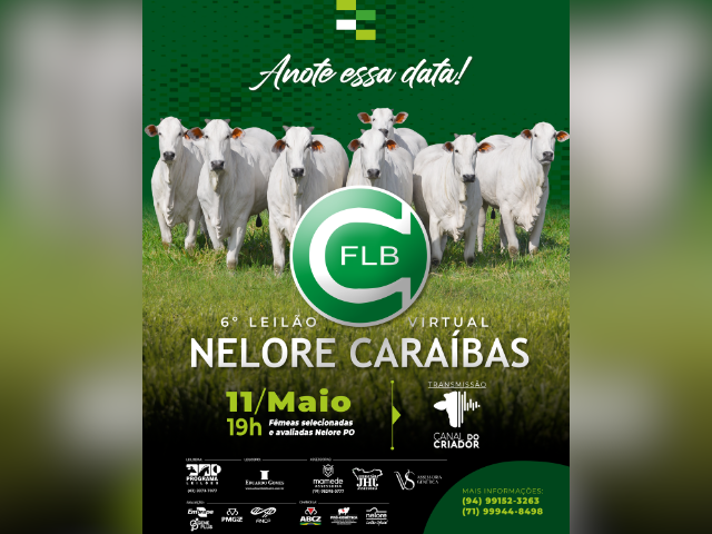 6° Leilão Virtual Nelore Caraíbas