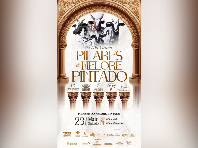 Leilão Virtual Pilares do Nelore Pintado – Etapa Elite e Produção