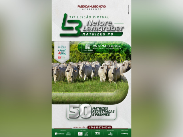 77° Leilão Virtual Nelore Lemgruber – Matrizes PO