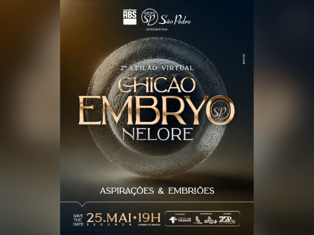 2° Leilão Virtual Chicão Embryo Nelore – Aspirações e Embriões