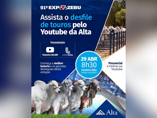 Desfile de touros Alta Genetics