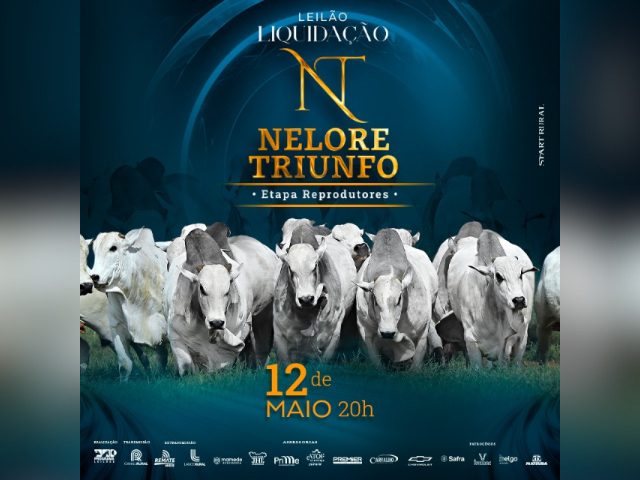 Leilão Liquidação Nelore Triunfo – Etapa Reprodutores