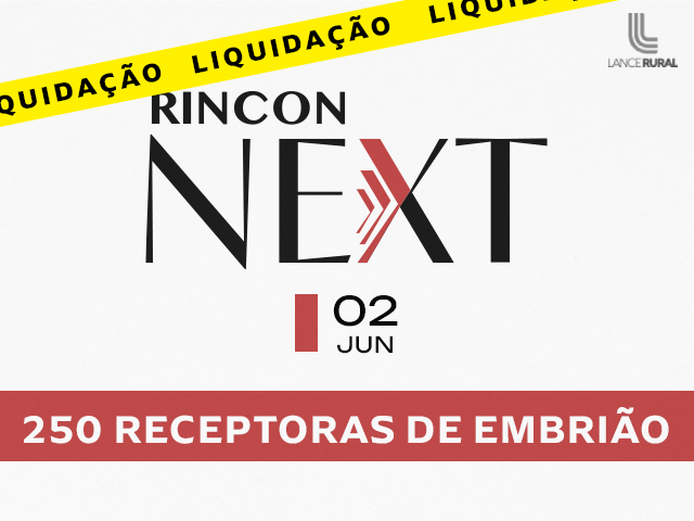 Rincon Next