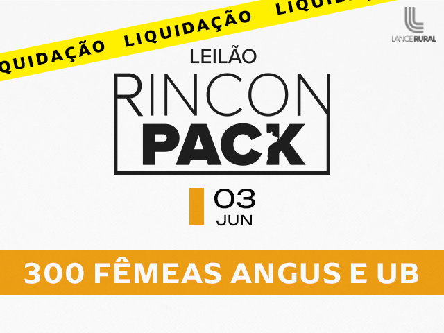 Leilão Rincon Pack