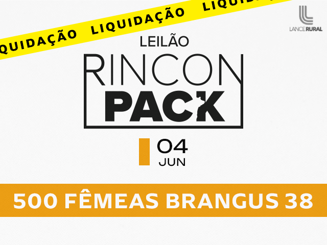 Leilão Rincon Pack