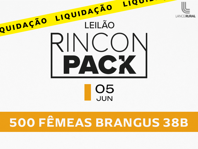 Leilão Rincon Pack