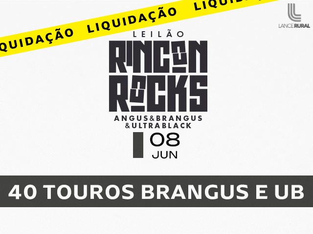 Leilão Rincon Rock